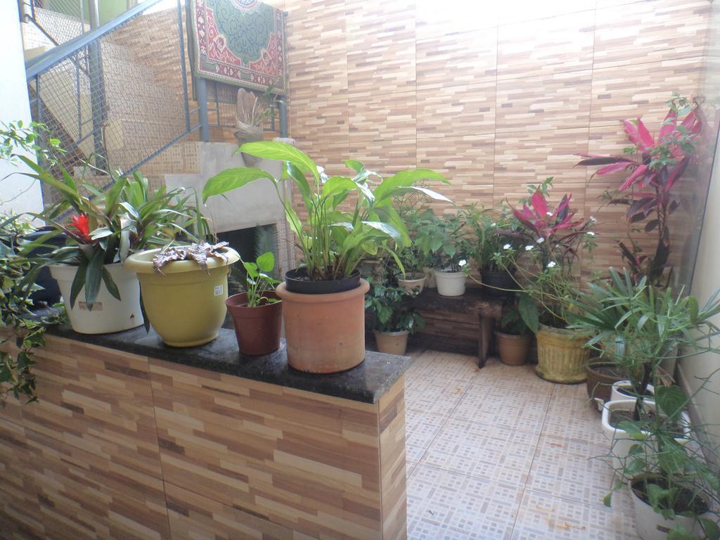 Pousada Casa Verde Aparecida  Luaran gambar